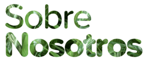 Sobre nosotros
